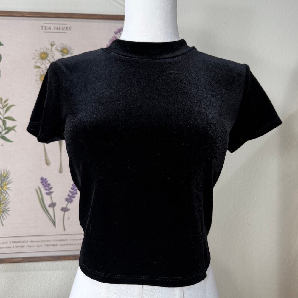 Black Velvet Crop Mock Neck Top Sexy Romantic Goth Y2k Whimsigoth Witchy XS S
